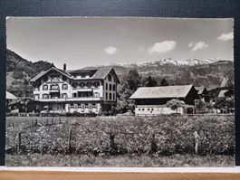 BE, No. 1131, Hotel Jungfrau Wilderswil, 1953