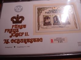 FDC -Grossbrief Liechtenstein, Block 1981, + Lose ET-o + **