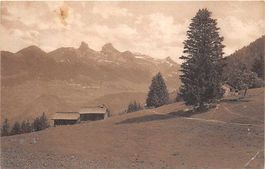 Les Ecovets, vue sur Leysin