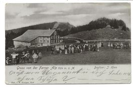 Gruss von der Farner Alp bei Wald (ZH) Ausflügler - 1904