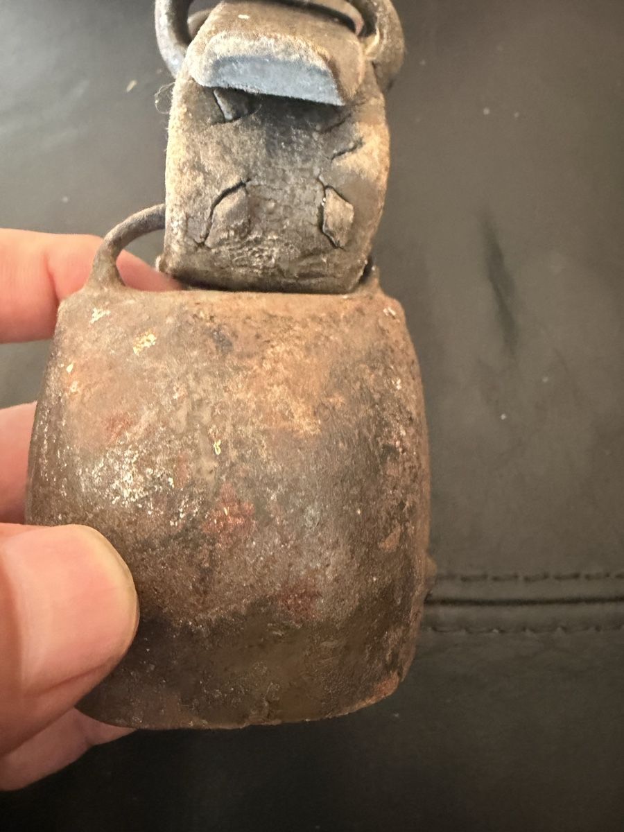Campanacci mucche: Glocke  – Usato da Baden venduto da noli.r 3