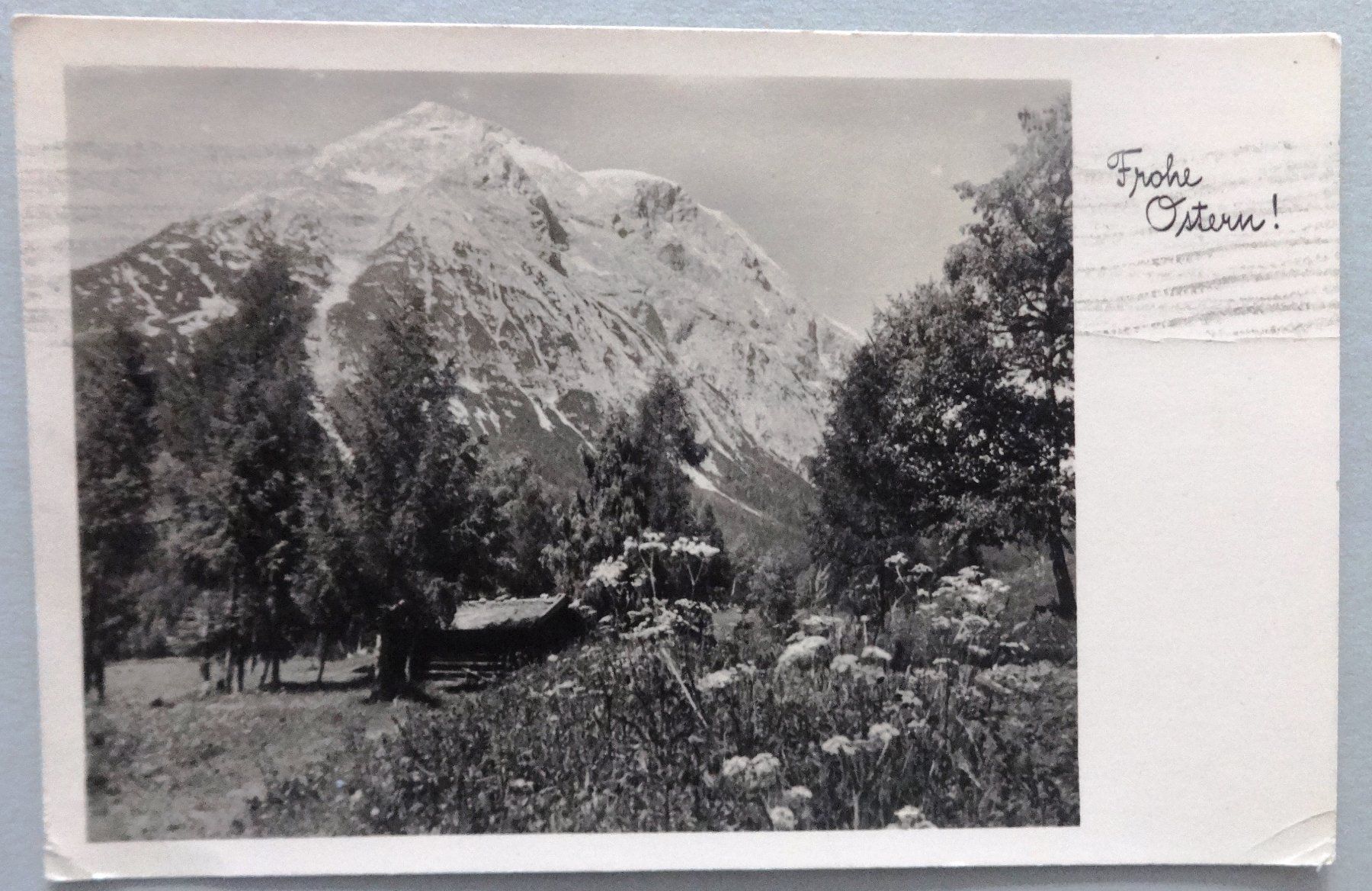 Cartoline postali: Frohe Ostern ! – Usato da Fétigny venduto da Billy2miny