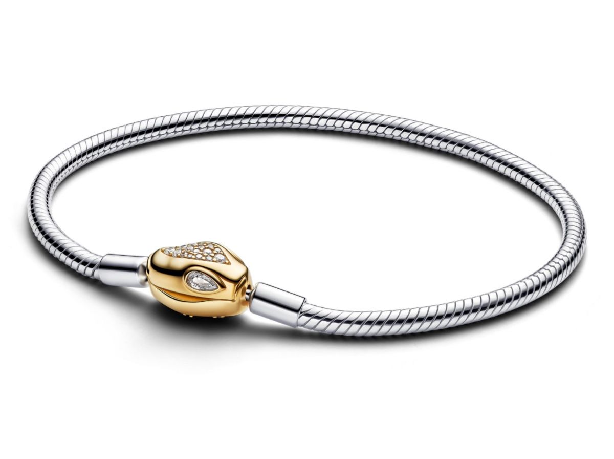 Bracciali & Braccialetti: Pandora Armband + Charm – Nuovo (secondo la descrizione) da Kreuzlingen venduto da micus87 3