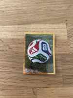 Panini FWC 5