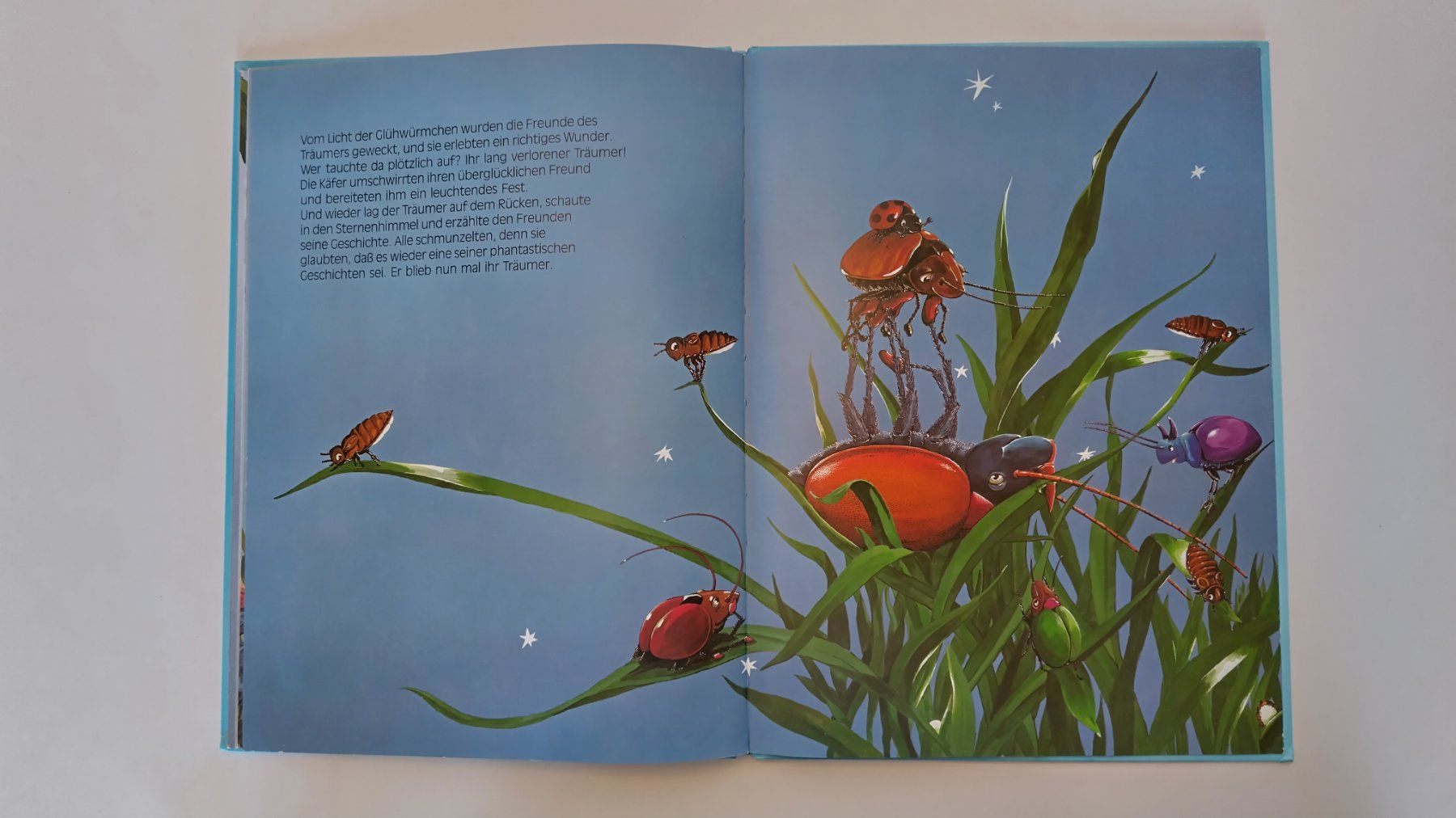 Bücher: Der Sternenkäfer / Bilderbuch 1994 ab Fr. 4.- / 2 Risse – Gebraucht aus Bellach von JingleJerry 8