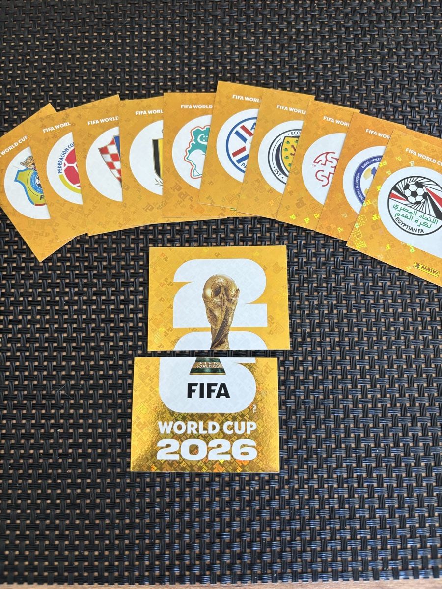 Panini Sammelbilder & Trading cards: Panini WM stickers – Neu (gemäss Beschreibung) aus Salmsach von ManiundSid01