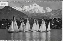 Lac de Geneve - depart de regates au Creux-de-Genthod