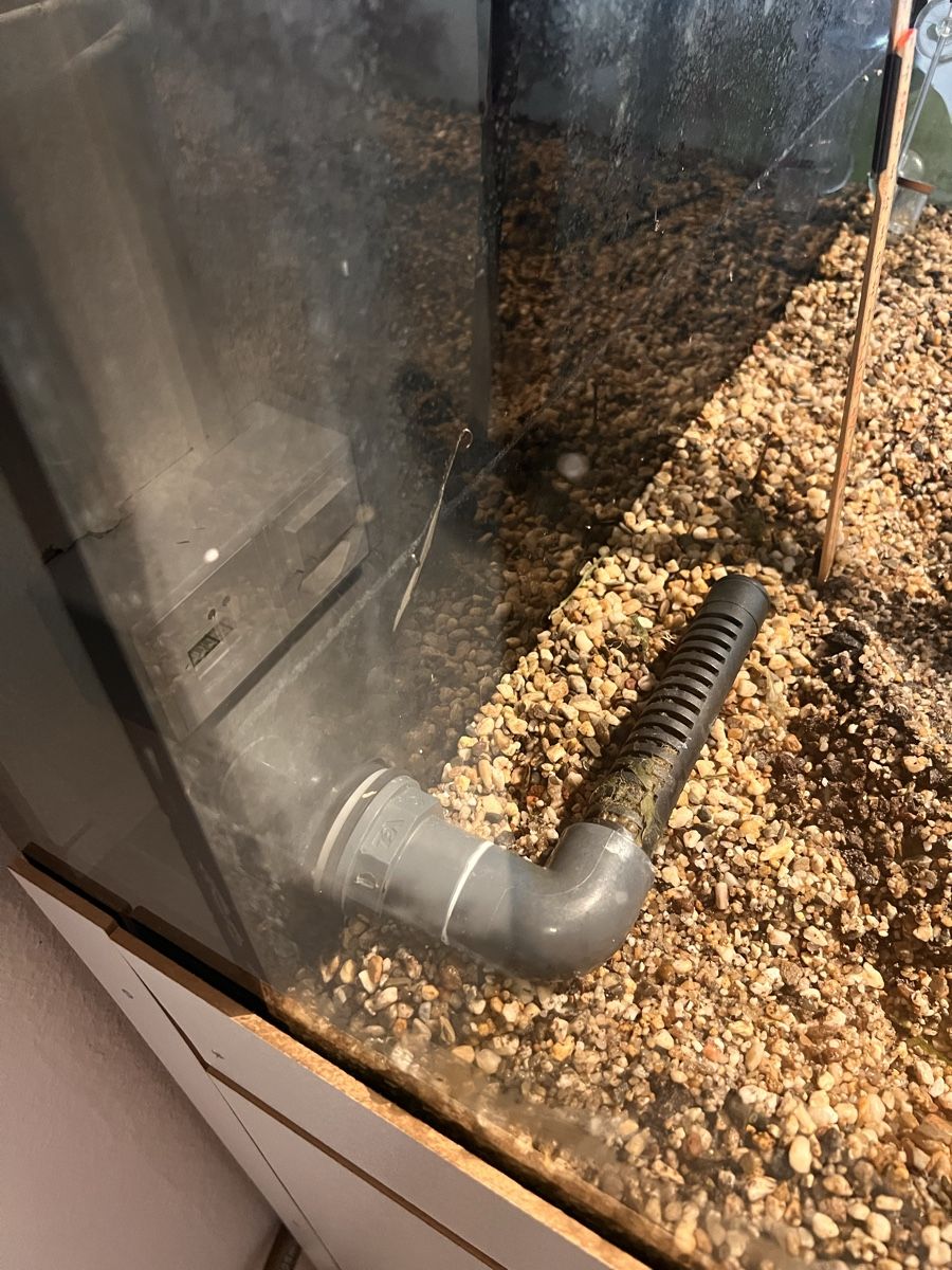 Acquari: Aquarium ohne Innhalt mit Zubehör – Usato da Walkringen venduto da ise_v5dn 3