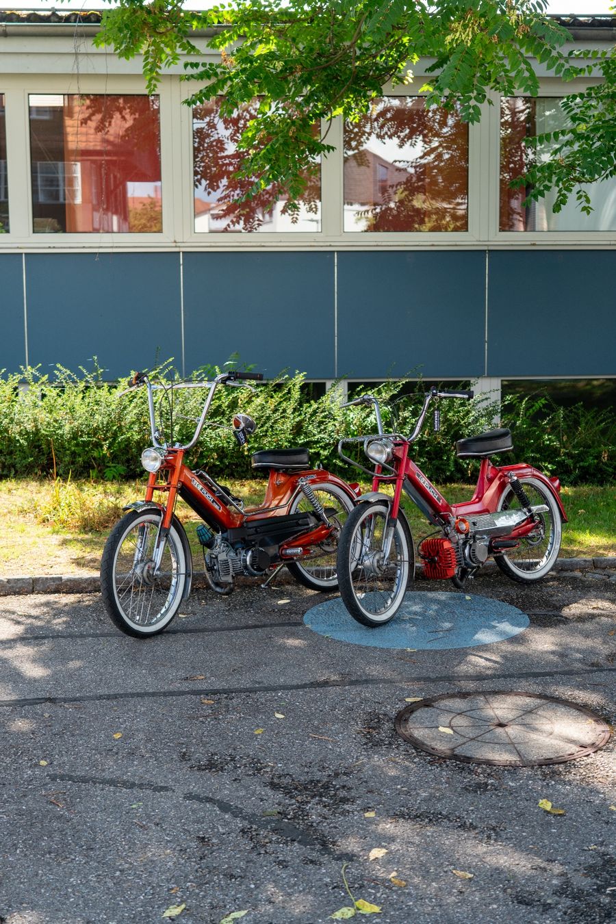 Puch Mofas: Puch Maxi S Originallack – Gebraucht aus Alchenflüh von LarFyn 5