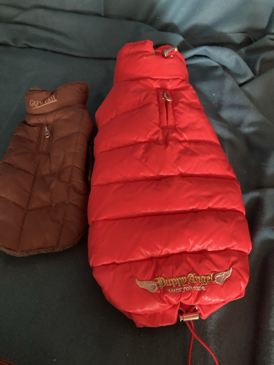 Abbigliamento: Hundeartikel – Usato da Schwanden GL venduto da bait04 1