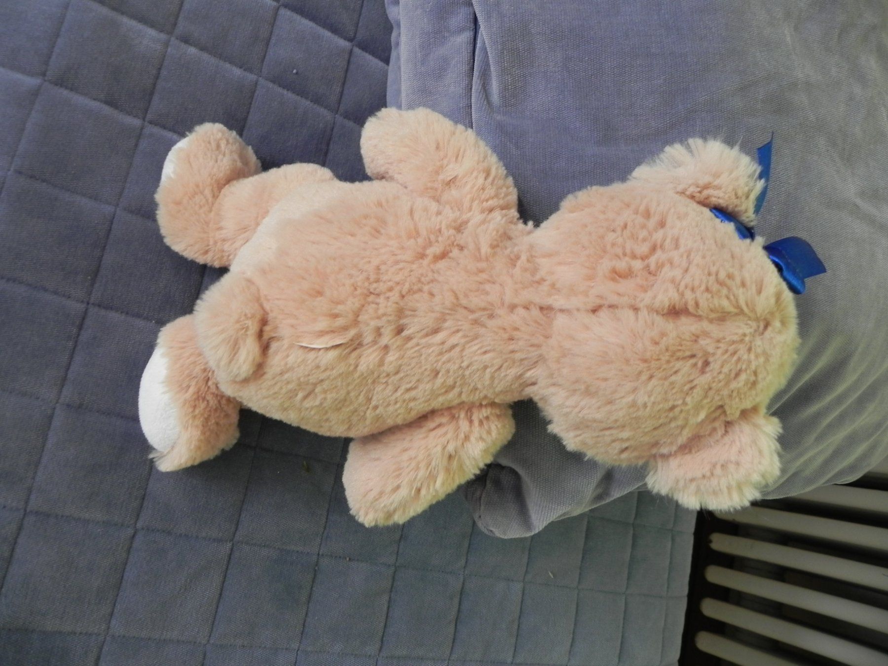 Migros Giocattoli: Teddy Migros Bär Plüschtier – Usato da Stallikon venduto da pcerny16 1