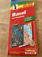 Basler Karte, mit einzelnen Rissen wo gefaltet