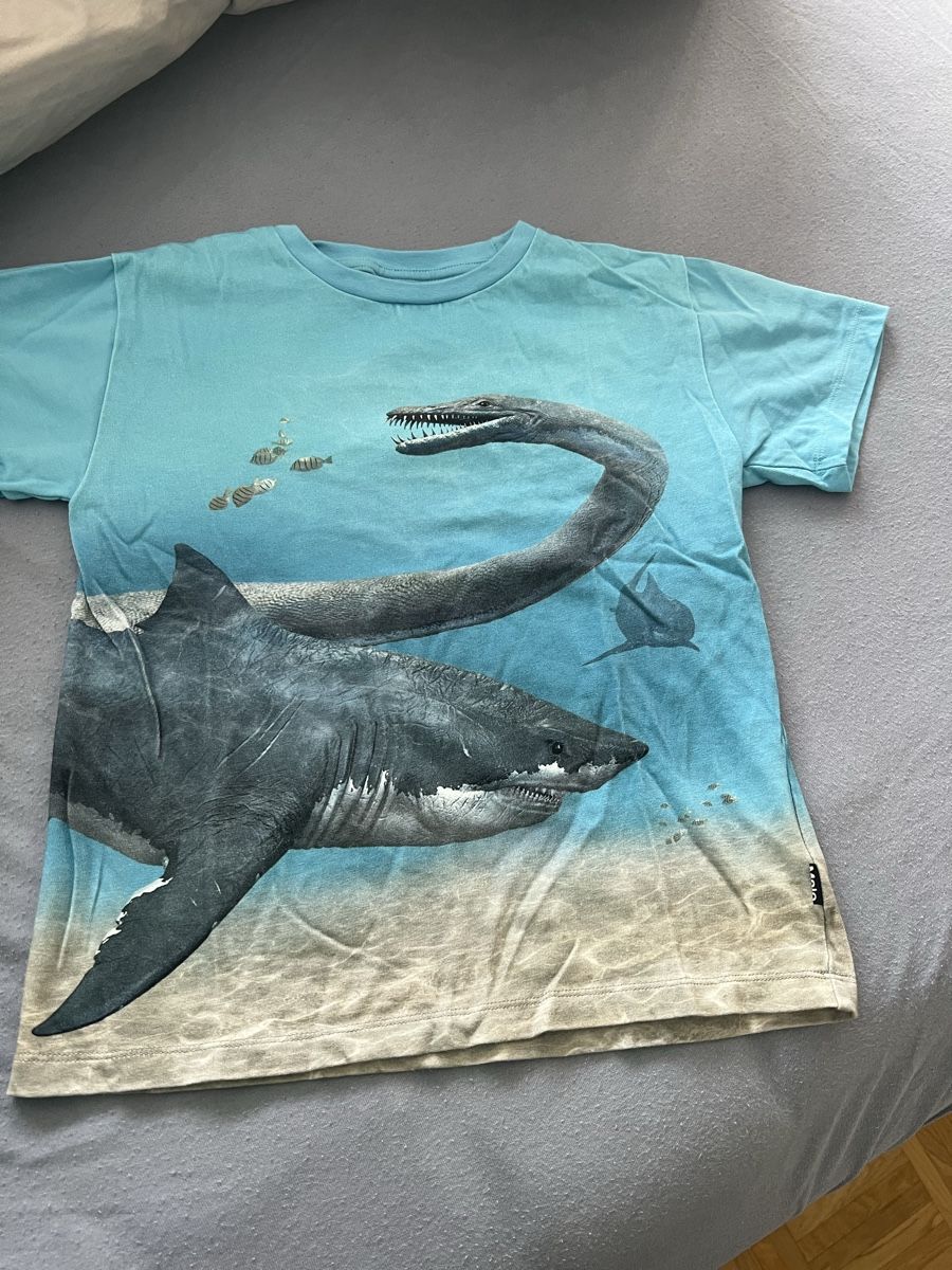 Molo T-shirt: T-Shirt Molo 140cm – Usato da Rüschlikon venduto da Meli_16