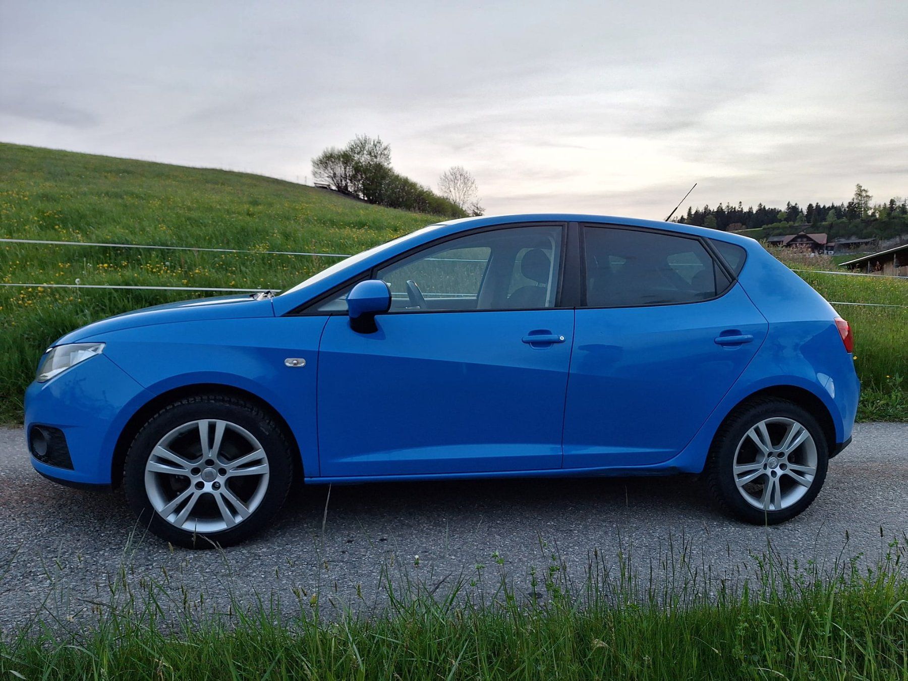 Seat Automobili: Seat Ibiza – Usato da Steinhuserberg venduto da Kobu92