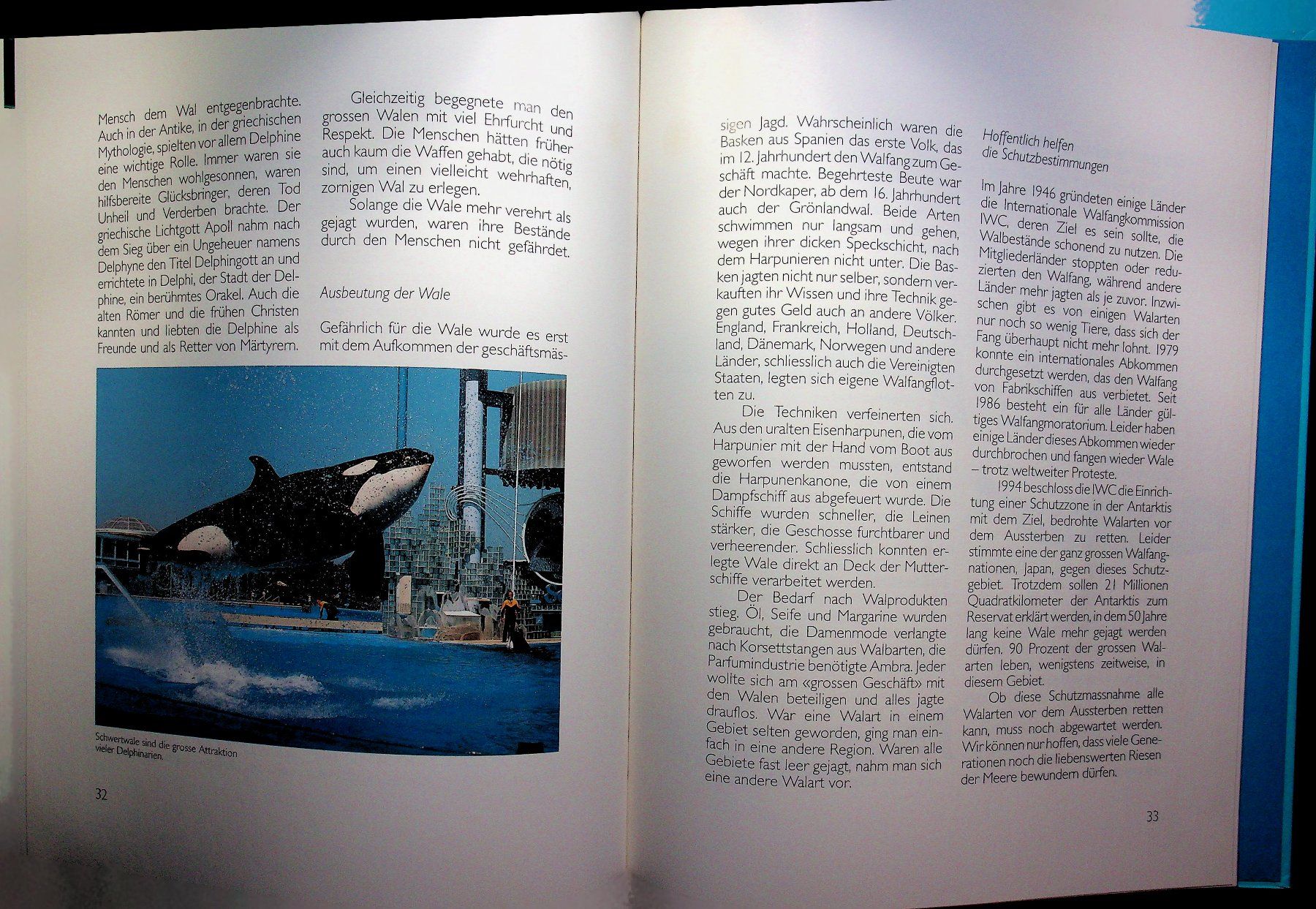 Bücher: Ursula Dolder Ich bin ein Wal Silva Verlag EA 1994 – Gebraucht aus Reitnau von Zaomir 8