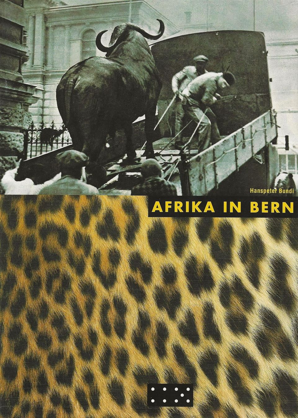 Libri: Afrika in Bern – Usato da Bern venduto da Grindelwaldaus