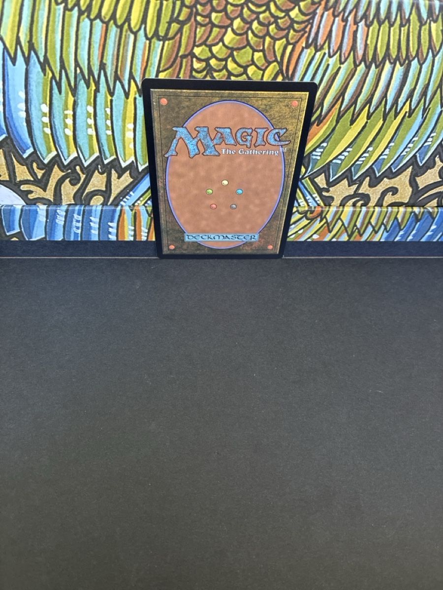 Karten: Magic The Gathering Scalding Tarn  – Neu (gemäss Beschreibung) aus Oberkirch LU von edw_885b 1