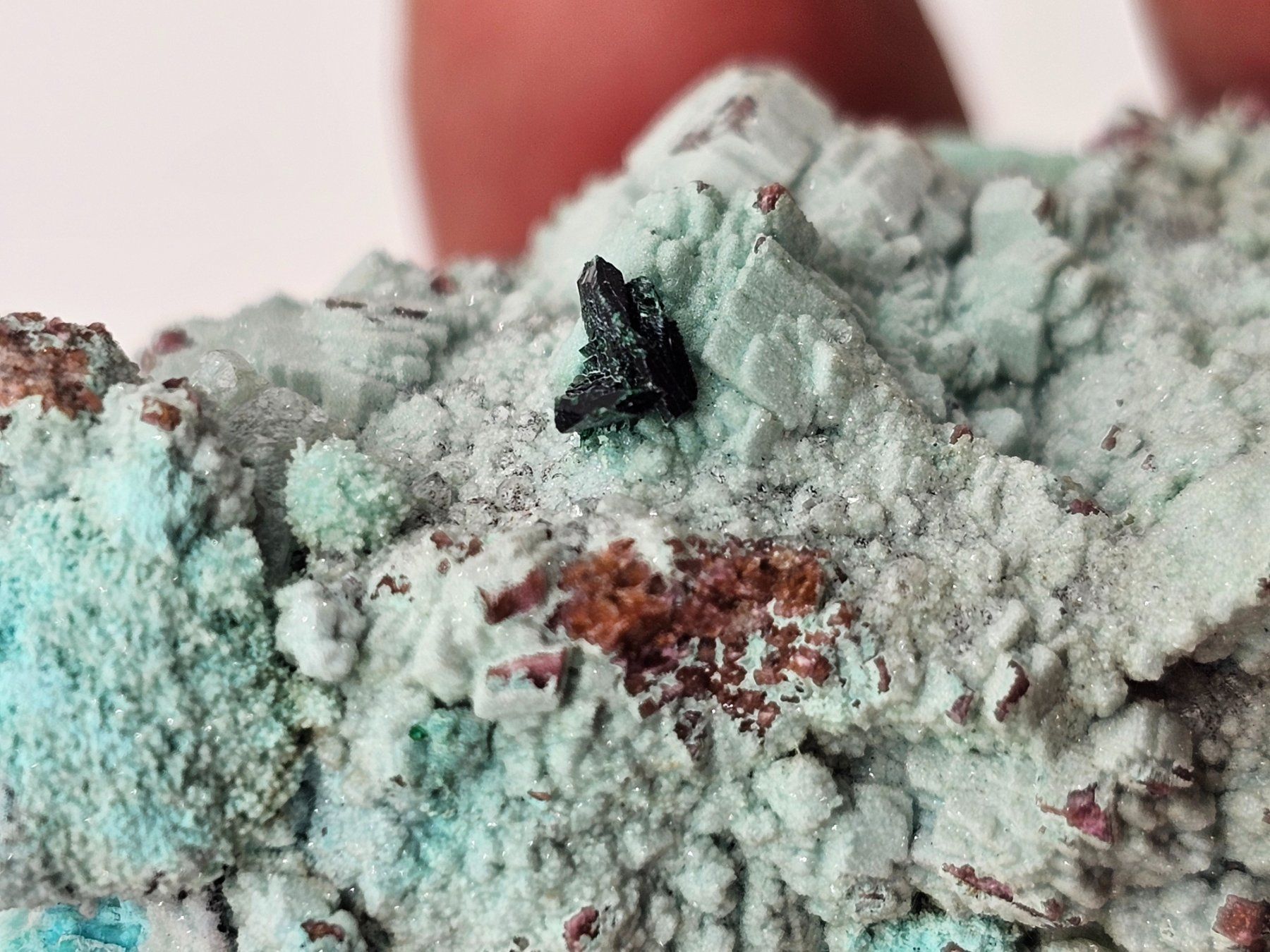 Minerali & Pietre curative: RaRe Euchroite on Chrysocolla, Mürtschenalp, Glarus – Usato da Figino venduto da minshop 5