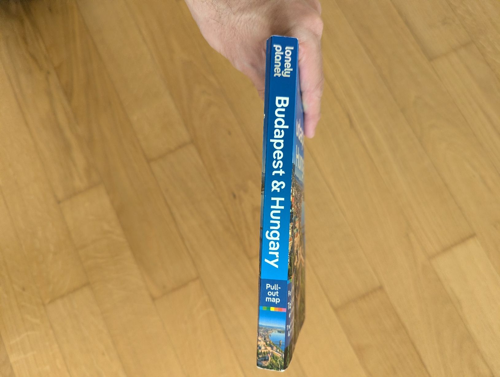 Libri: Lonely Planet Budapest & Hungary Reiseführer – Usato da Luzern venduto da phi_89 2