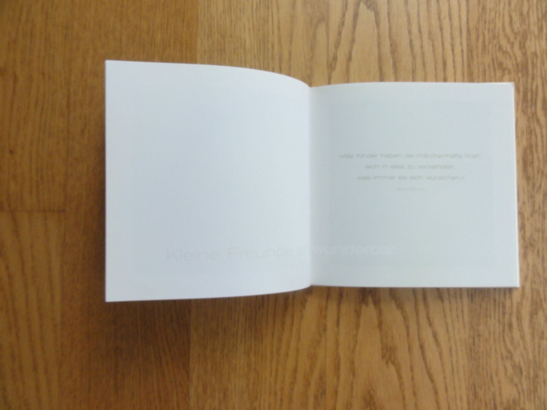 Libri: Kleine Freunde, Fotoband – Usato da Riedholz venduto da Taweva 2