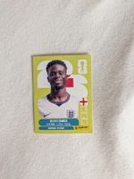Panini Bild ENG 17