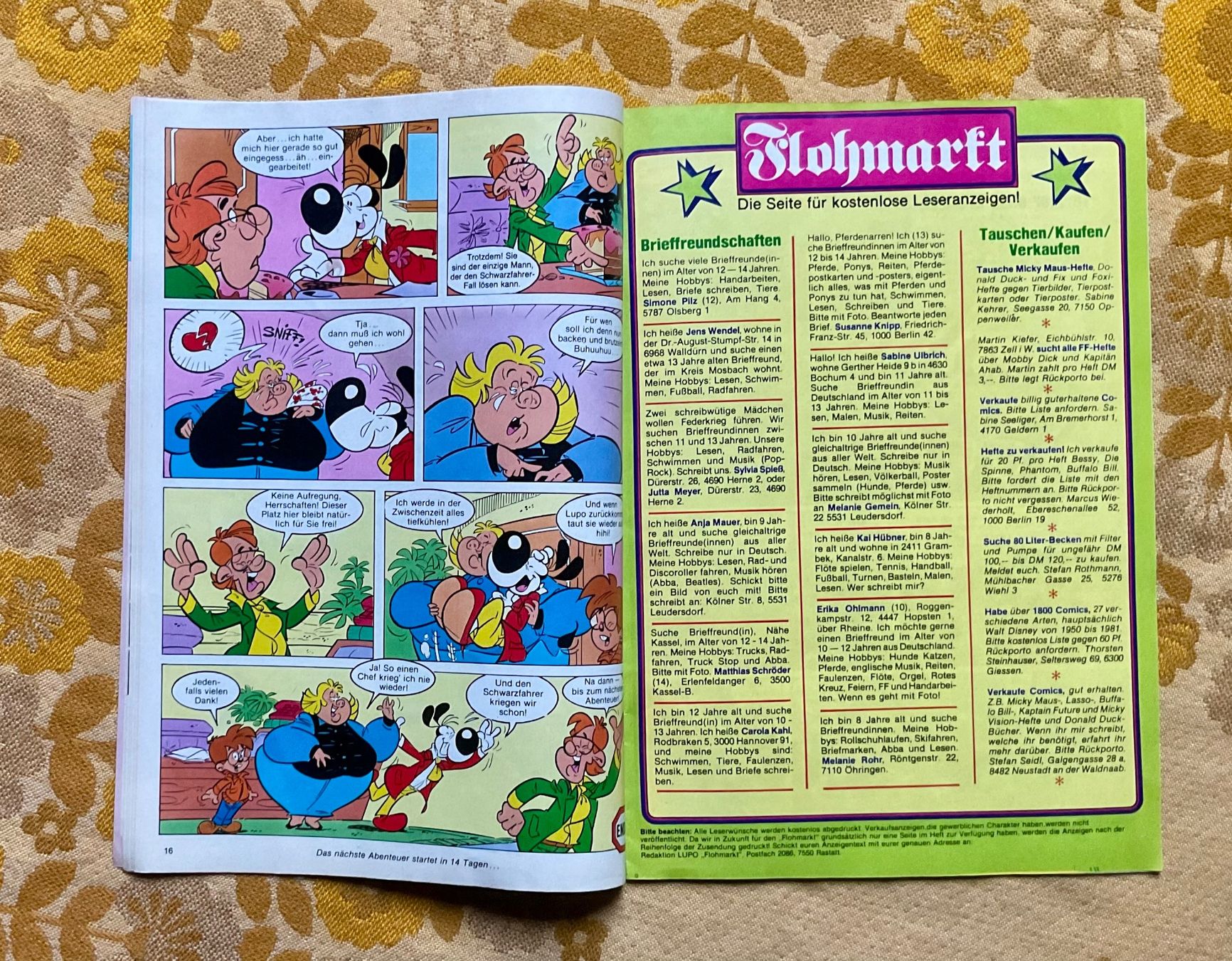 Fumetti: Lupo Heft Nr 11 von 1982 – Usato da Endingen venduto da nathan05 3