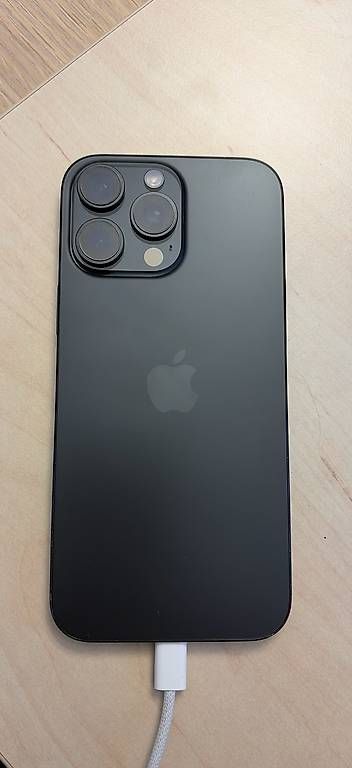 Apple Telefoni cellulari / Smartphones: Refurbished iPhone 16 Pro Max 256GB – Usato da Zürich venduto da Simonzh1 1