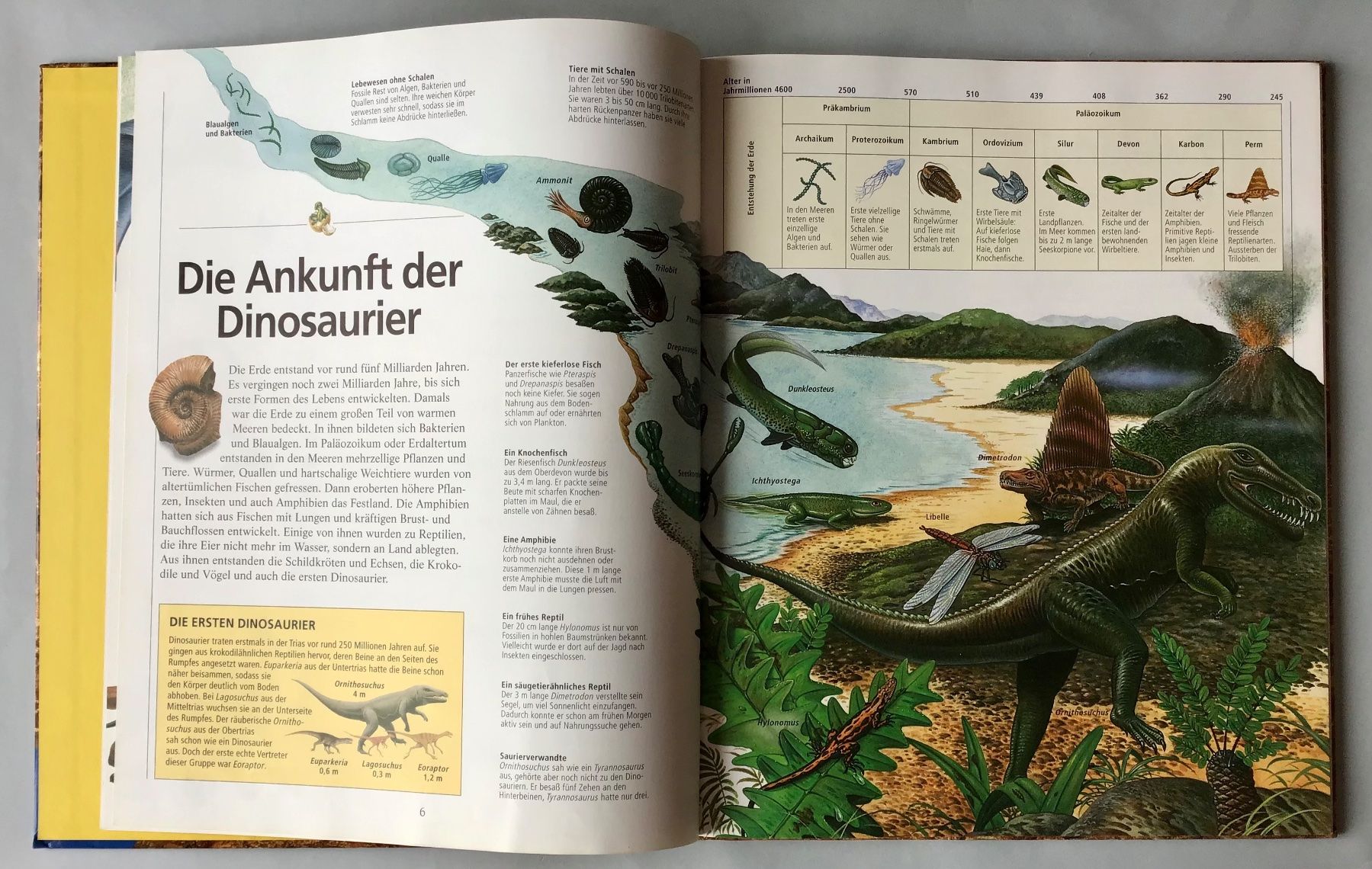 Bücher: Dinosaurier - Alles was ich wissen will – Neu (gemäss Beschreibung) aus Bubendorf von Alpenheidi 4