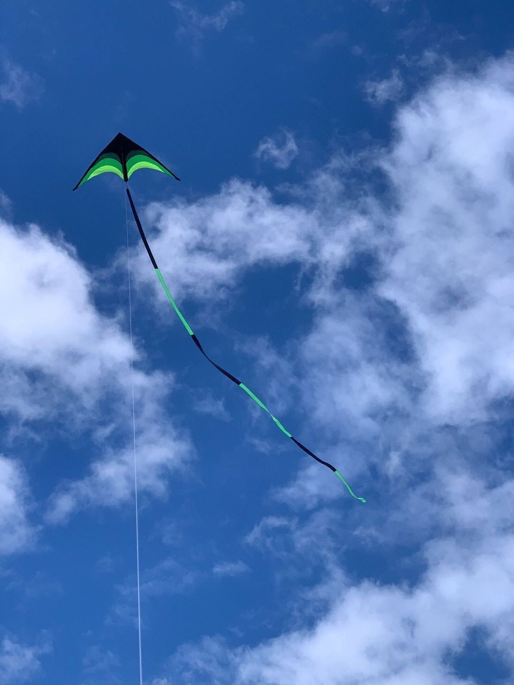 Altro in Decorazioni & Accessori: Flugdrachen 1.6m breiter Wind Drachen – Nuovo e nell'imballaggio originale da Eglisau venduto da SubSonicx 2