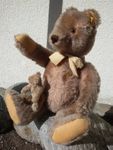 Alter Steiff Teddybär mit Knopf im Ohr und Bärenkind