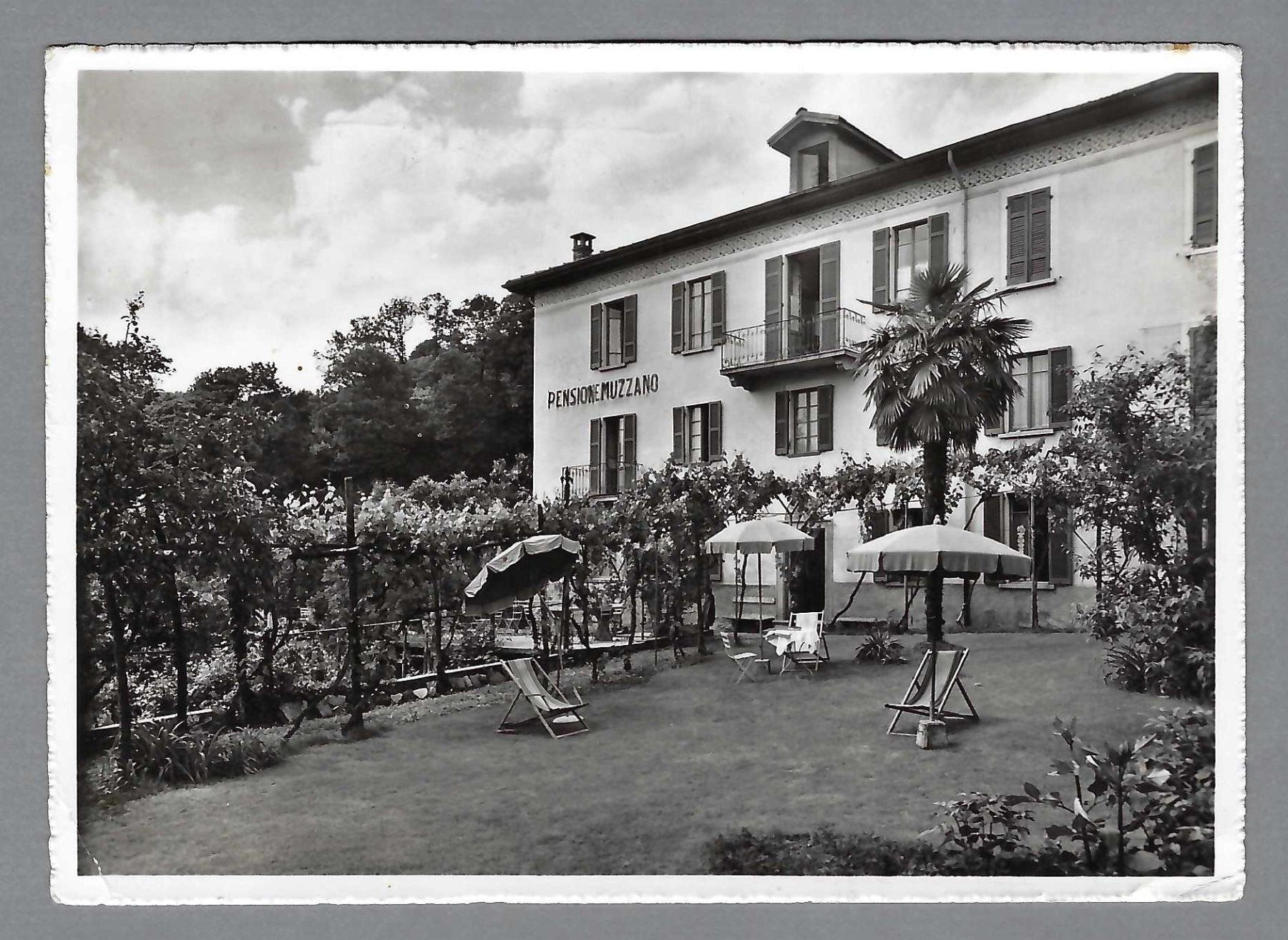 Cartoline postali: 1954, MUZZANO, PENSION MUZZANO – Usato da Pura venduto da ulisse1957