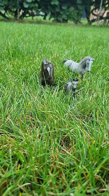 Giocattoli: Cheval Schleich  – Usato da St-Sulpice VD venduto da rog_c28g