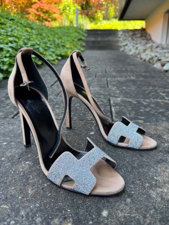 Hemes pump