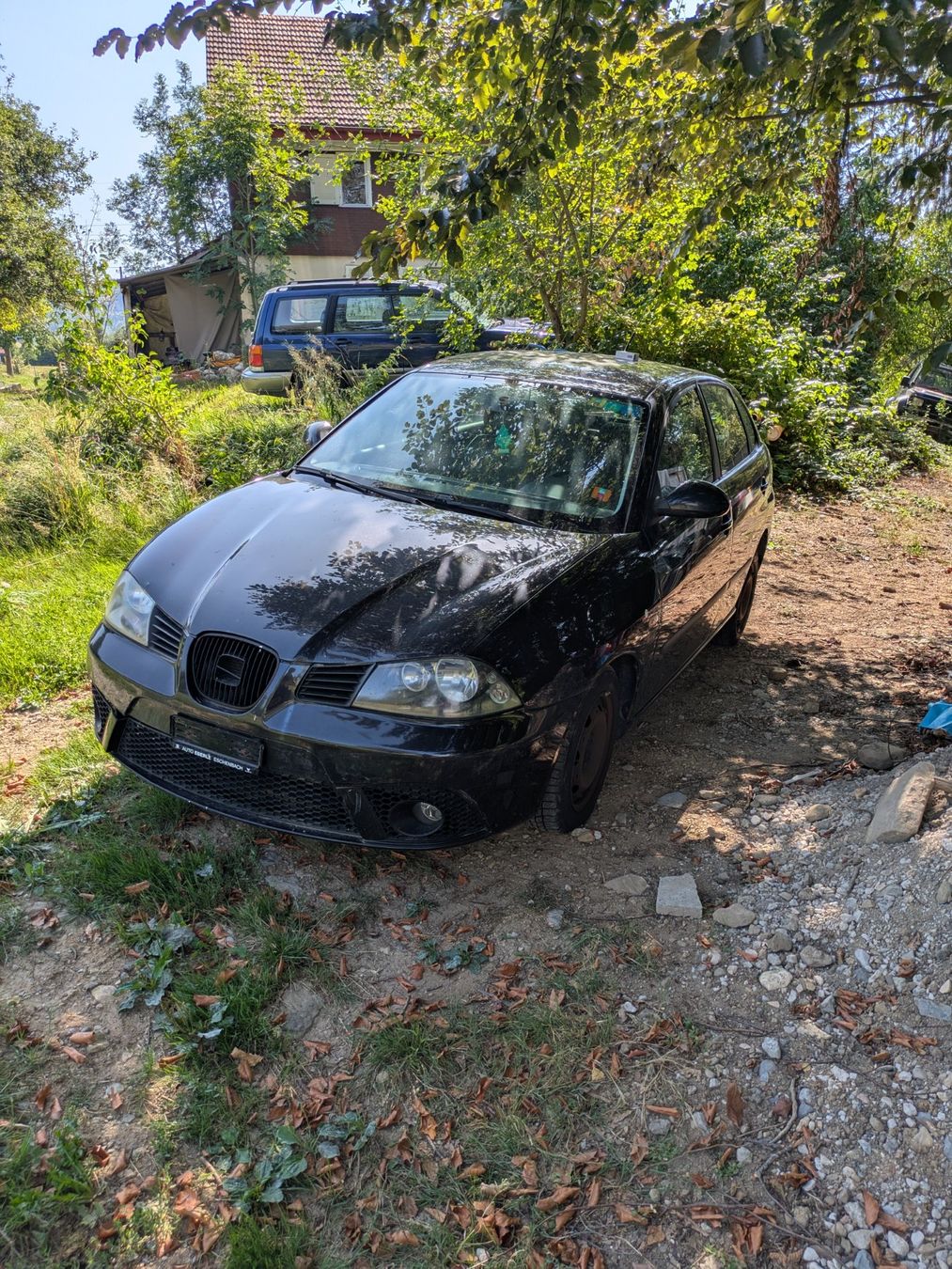 Seat Autos: Seat ibiza – Gebraucht aus Uetliburg SG von subaru0815
