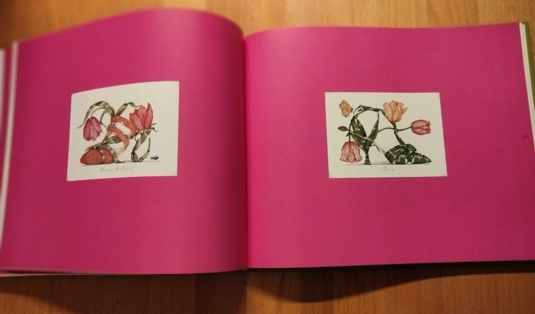 Bücher: The Botanical Footwear Dennis Kyte – Gebraucht aus Niederglatt ZH von Siegfried67 5