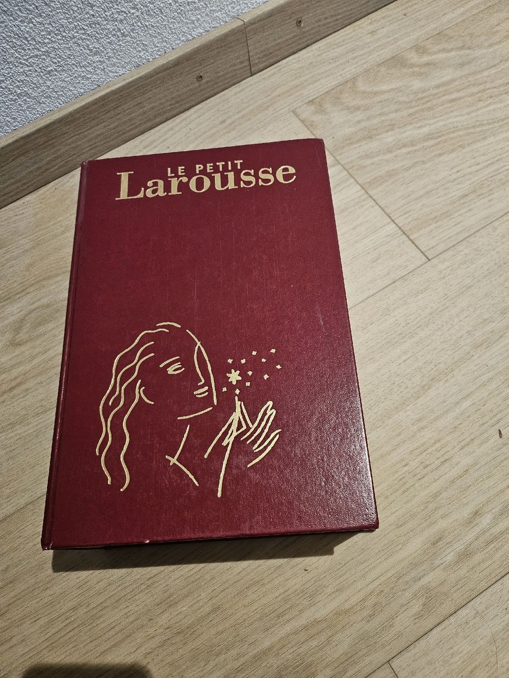 Libri: Le Petit Larousse illustré 2001 – Usato da La Joux FR venduto da car_ck96