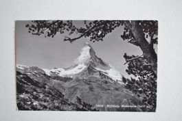 AK Riffelalp Matterhorn VS