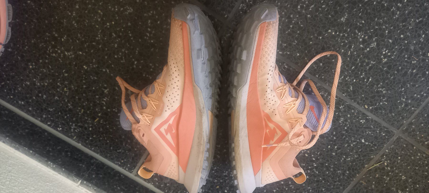 Nike Scarpe da donna: Nike Pegasus trail running Gr. 38.5 – Usato da Killwangen venduto da natszp