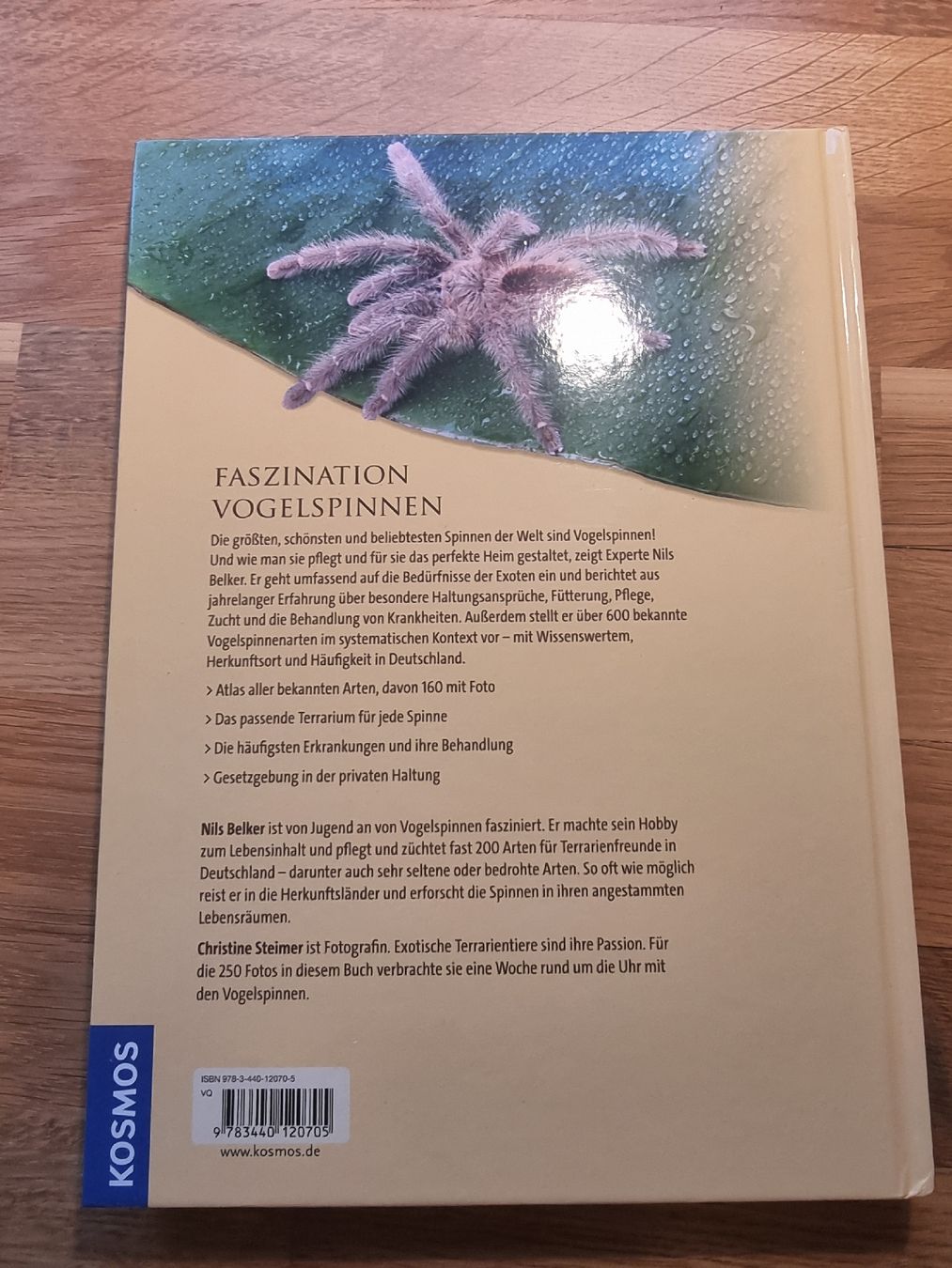 Libri: Vogelspinnen von Kosmos – Nuovo (secondo la descrizione) da Derendingen venduto da Sarah.jana 1