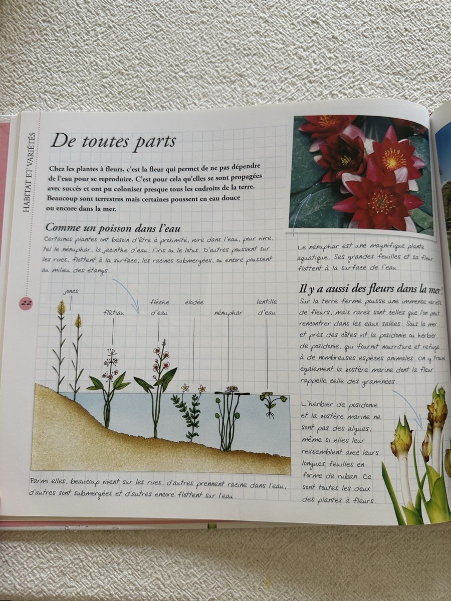 Libri: Les fleurs – Usato da Les Bioux venduto da ann_g9bh 4