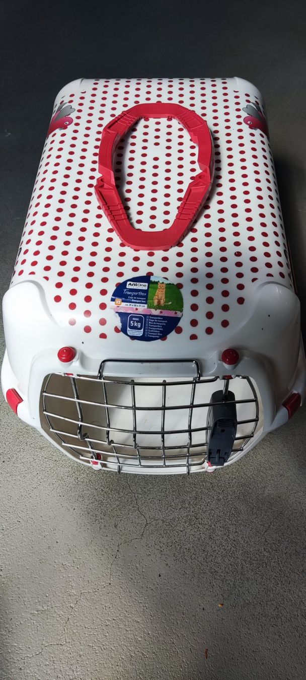 Cages, transport & sécurité: Katzen Transport Box – D'occasion à Grenchen par Boogie10