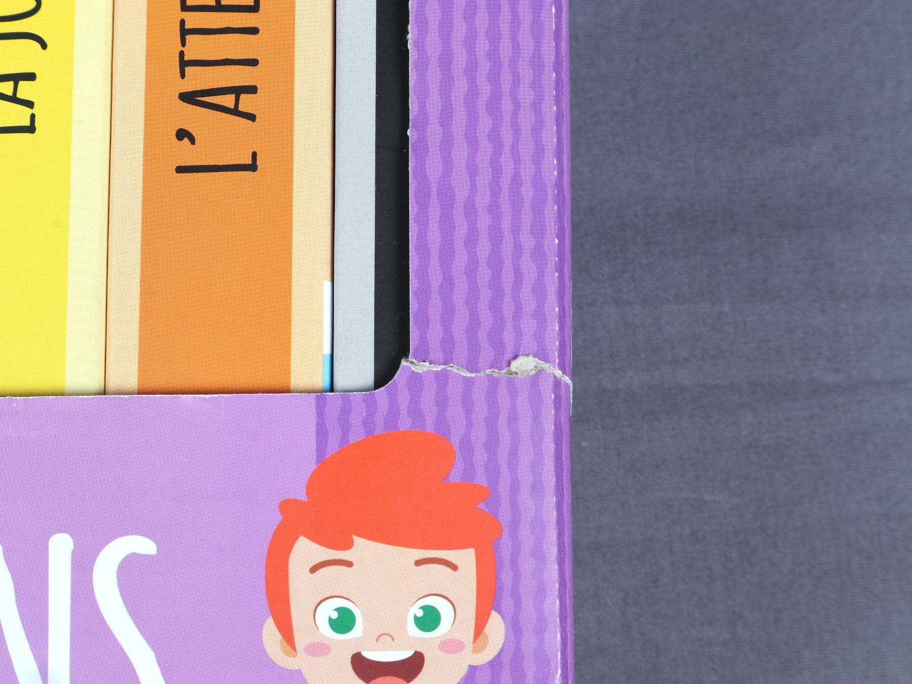 Libri: SASSI Les émotions – Nuovo (secondo la descrizione) da Steinen venduto da Restwert_Steinen 7