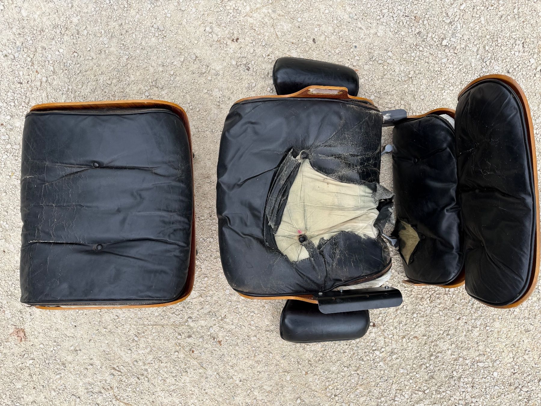 Eames Poltrone: Eames Lounge Chair - Ersatzteilspender – Difettoso da balsthal venduto da Roggenschnarz 3