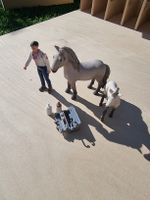 Schleich Set "Ärztin"