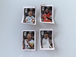 Panini WM 2026 Coca-Cola Sticker