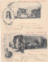 Altdorf Tell-Aufführung 1899,  2 offizielle Karten