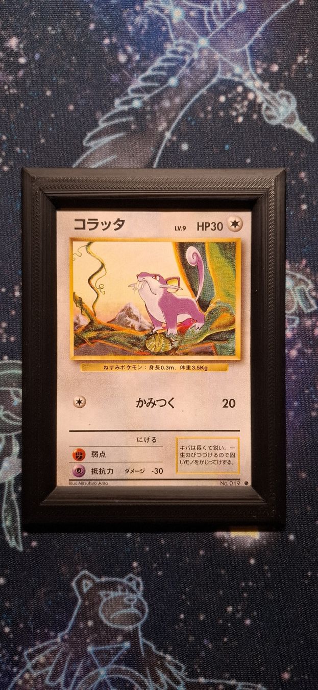 Pokémon Carte collezionabili: Rattata 019 - Expansion Pack JP – Usato da Petit-Lancy venduto da Kara_TCG
