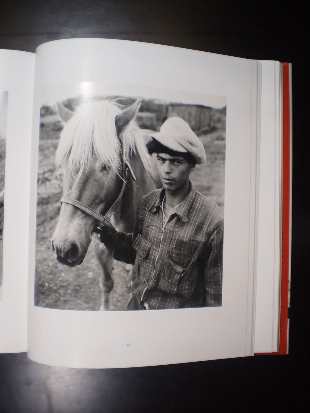 Bücher: Rea Brändle: Albert Walder. Fotografien – Neu und originalverpackt aus Lenzburg von strebeck 5