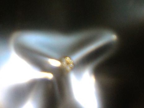 Edelsteine: ECHT DIAMANT,,GELB,,VVS1,,0.1 KARAT – Neu (gemäss Beschreibung) aus Basel von bijoutrie_4 3