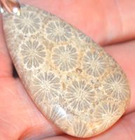 Anhänger L-4747 – Fossile Koralle 39x23x6mm 42 Karat